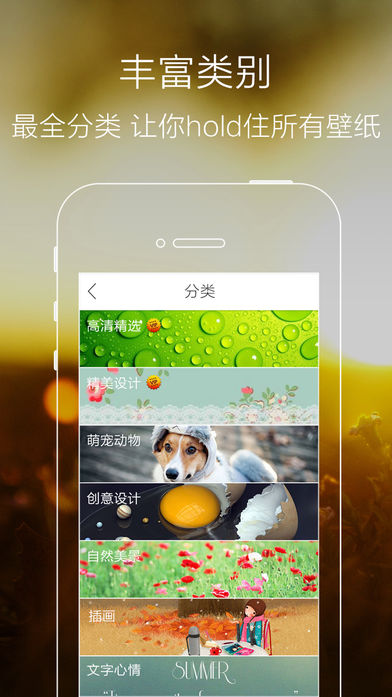 iPhone 5S 5C 5ֽͼ2