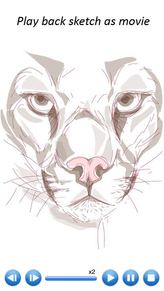 ʦ Sketch Guruͼ2