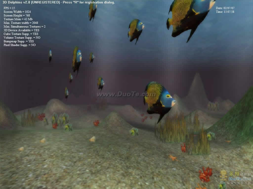 3D Dolphins
