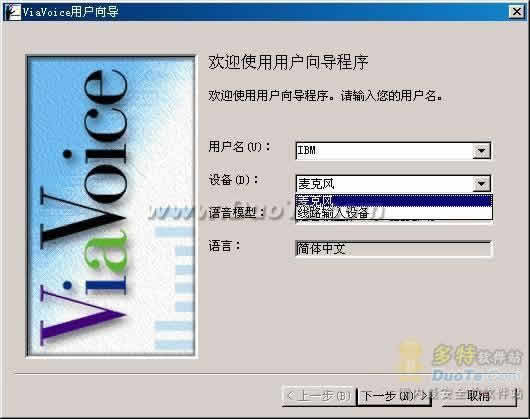 IBMϵͳ(ViaVioce)