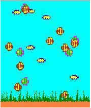 FishTank