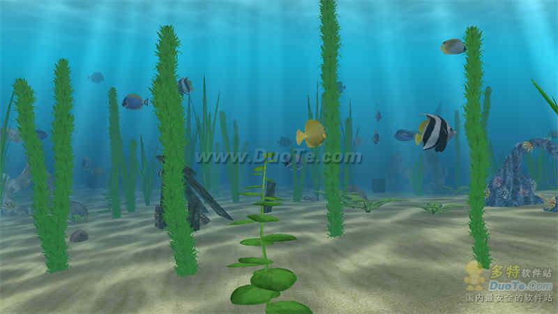 Water Life 