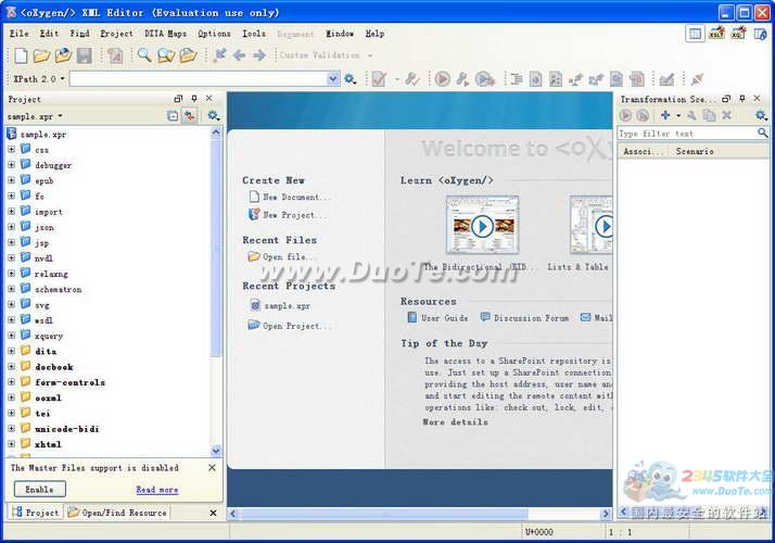 oXygen XML Editor (JavaXML༭)