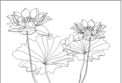 Illustrator CS3ʸɻ廭