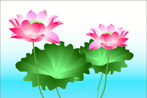 Illustrator CS3ʸɻ廭