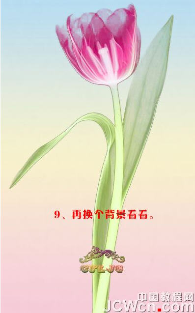 photoshopͼ̳-ñƤ͸