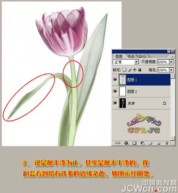 photoshopͼ̳-ñƤ͸