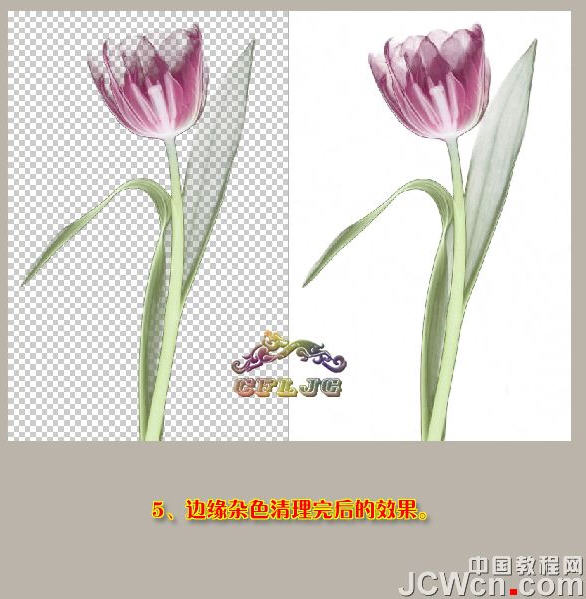 photoshopͼ̳-ñƤ͸