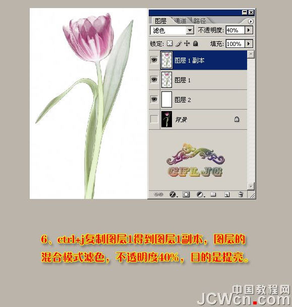 photoshopͼ̳-ñƤ͸