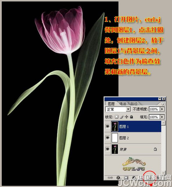 photoshopͼ̳-ñƤ͸