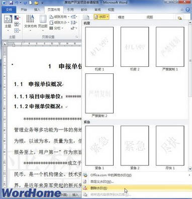 word2010Ӻɾˮӡ