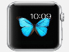 Apple watchܴ绰  Apple watch 绰