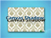 TML5 CANVASӰģʽ