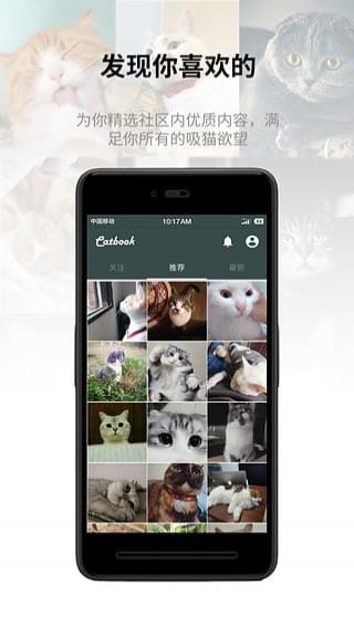 Catbookèͼ2