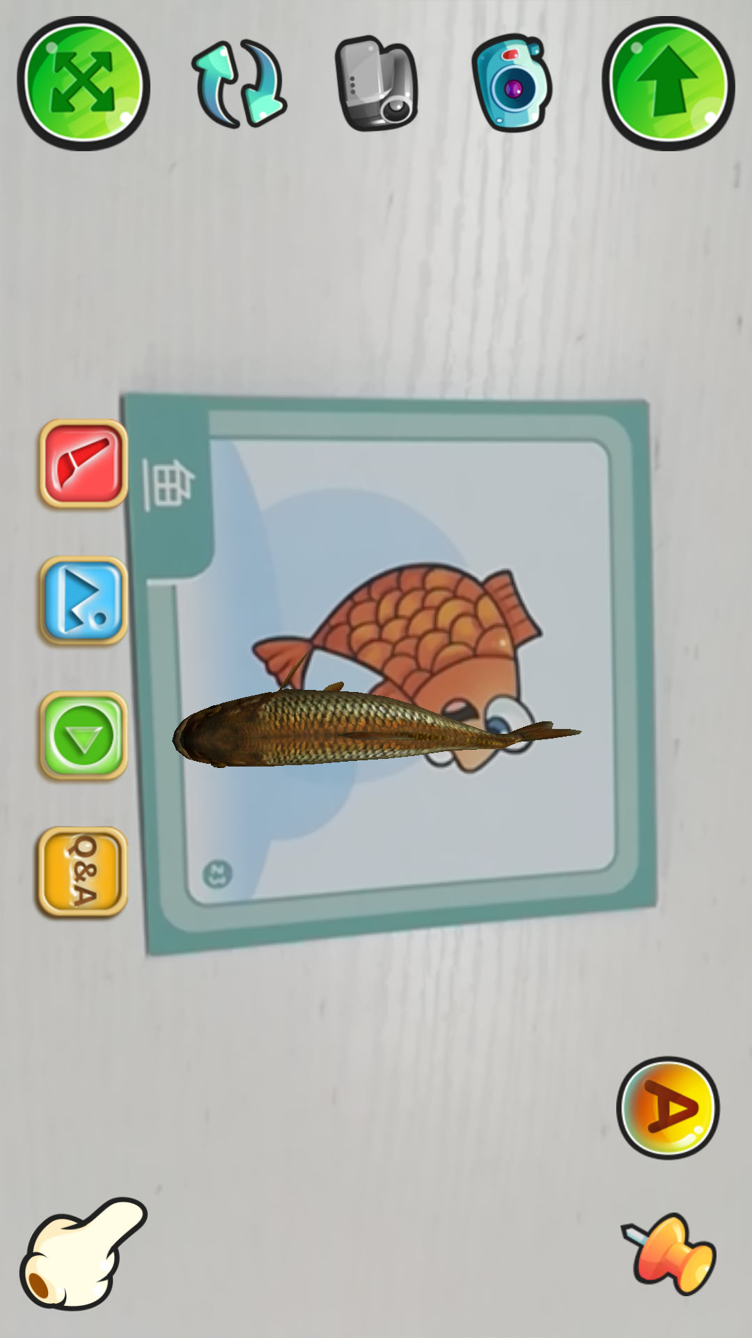 ͼ3