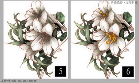 Photoshop洿ʥŮ