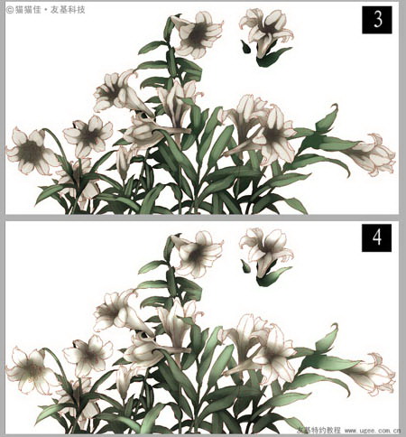 Photoshop洿ʥŮ