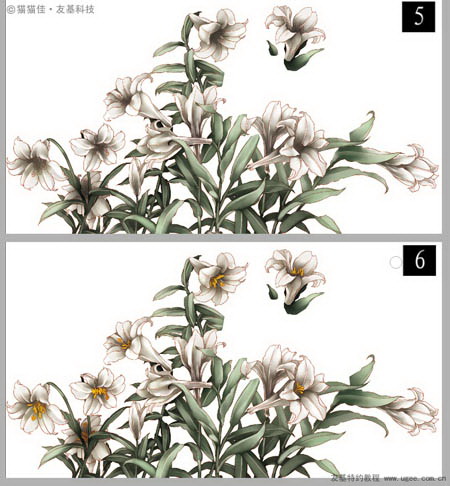 Photoshop洿ʥŮ