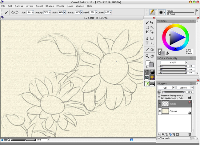 Painter̳֮ˮƪ