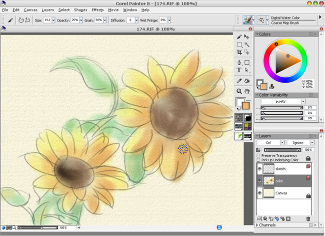 Painter̳֮ˮƪ