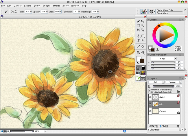 Painter̳֮ˮƪ
