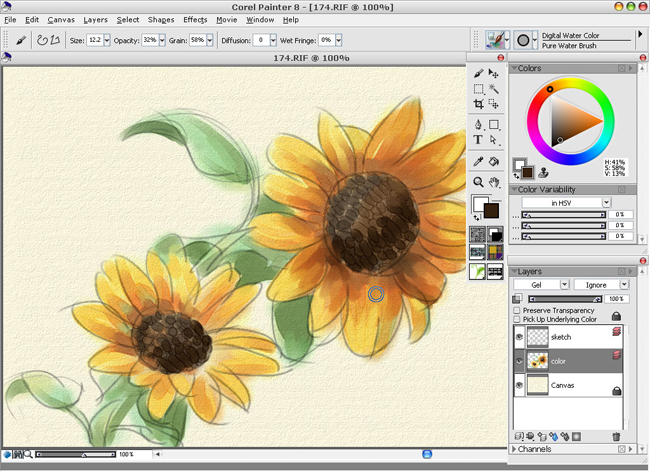 Painter̳֮ˮƪ