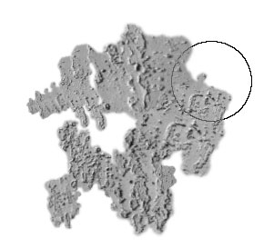 Painterʽ