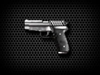 SIG P228