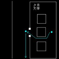 β1