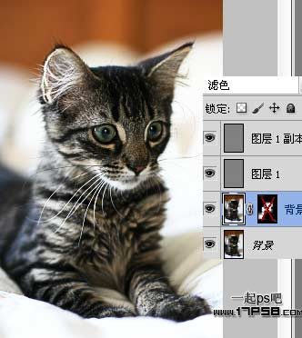 photoshop˾èͼƬЧ̳