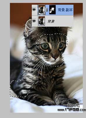 photoshop˾èͼƬЧ̳