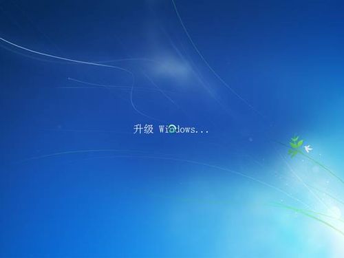 Vistaװwin7 