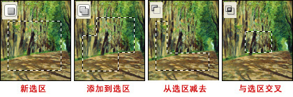 photoshop̳