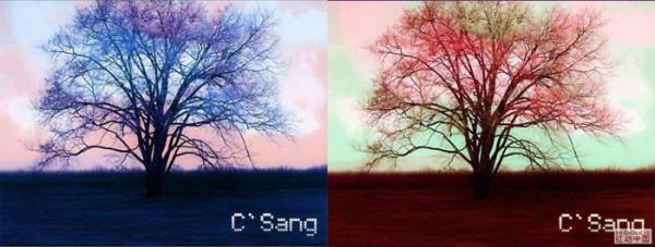 photoshopɫ̳