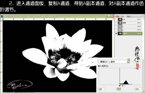 photoshopͼ̳-ʹÿͨٺɻ