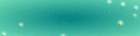 οflash banner
