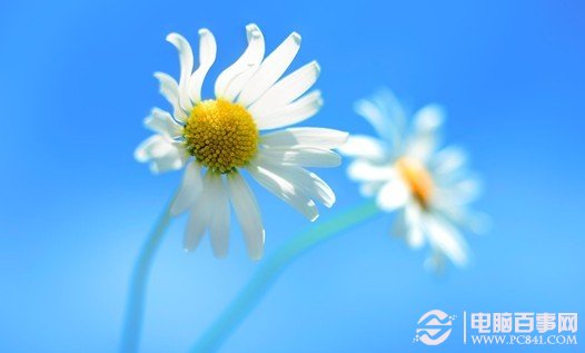 ͼ޷϶ƶĽ취