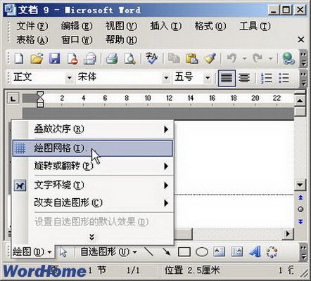 ʹWord2003ͼȷƶͼ