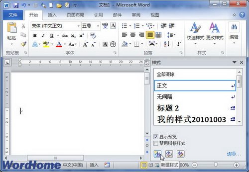 word2010ô½ʽ