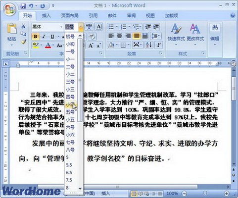 Word2007Сַʽ