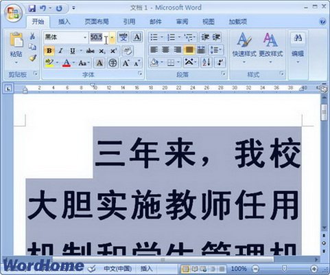 Word2007Сַʽ