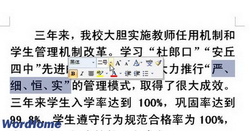 Word2007Сַʽ