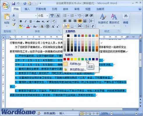 Word2007Ƶ