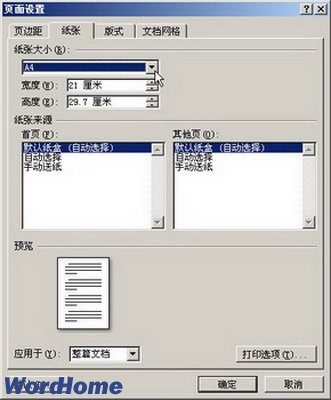 Word2007ֽŴС