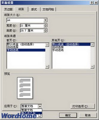 Word2007ֽŴС