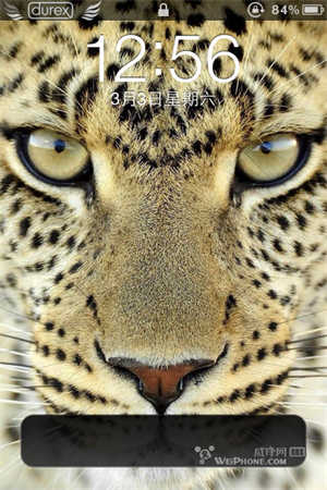 iphone4sԶ̳