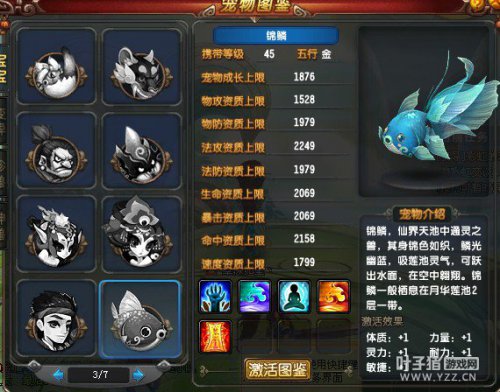 QQ