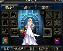 DNFװչʾ