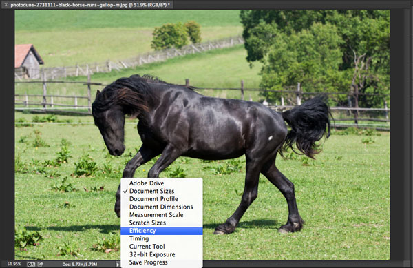 Photoshopɵ10ټ
