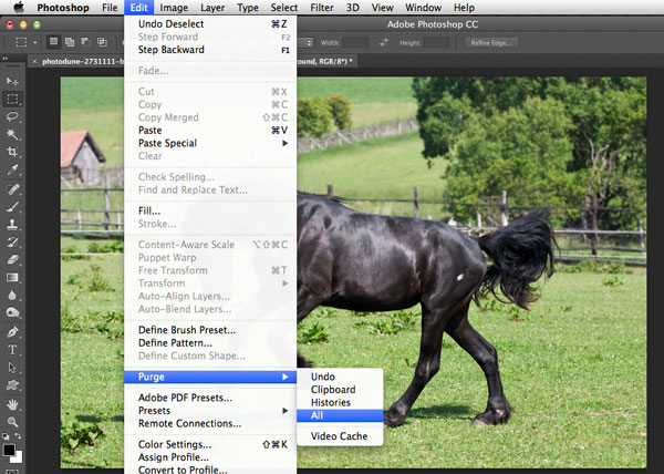Photoshopɵ10ټ